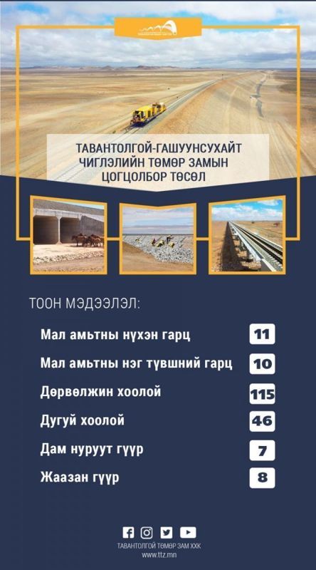 ТООН МЭДЭЭЛЭЛ