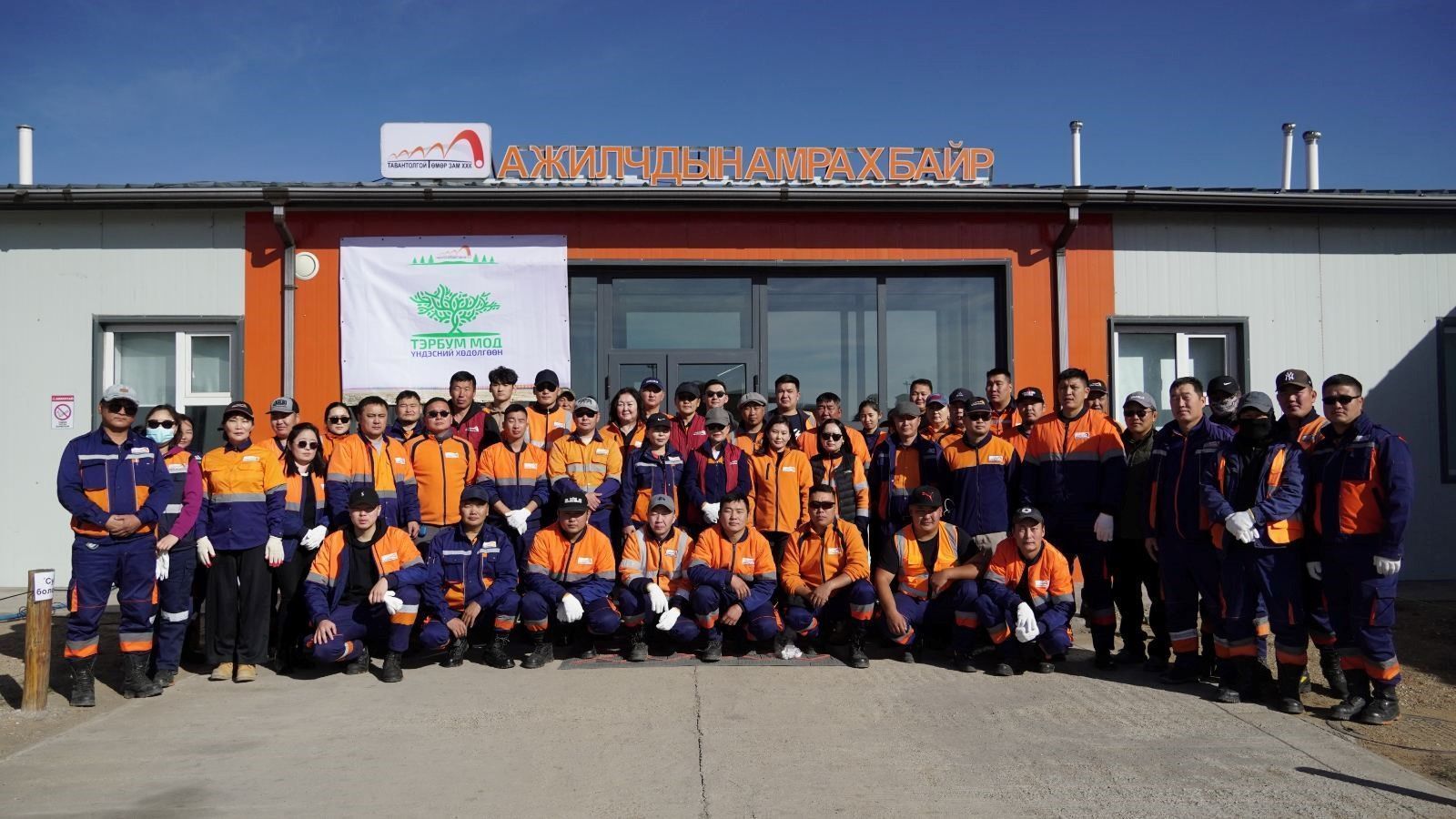 "ТЭРБУМ МОД" ҮНДЭСНИЙ ХӨДӨЛГӨӨНИЙ ХҮРЭЭНД МОД ТАРИЛАА