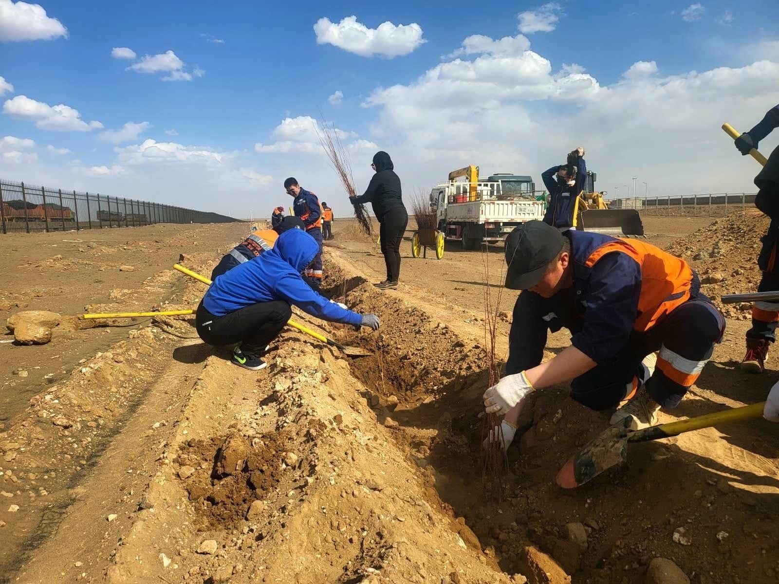 МАНАЙ ХАМТ ОЛОН ХАВАР, НАМРЫН ТАРИАЛАЛТАД НИЙТ 4000 МОД ТАРИНА