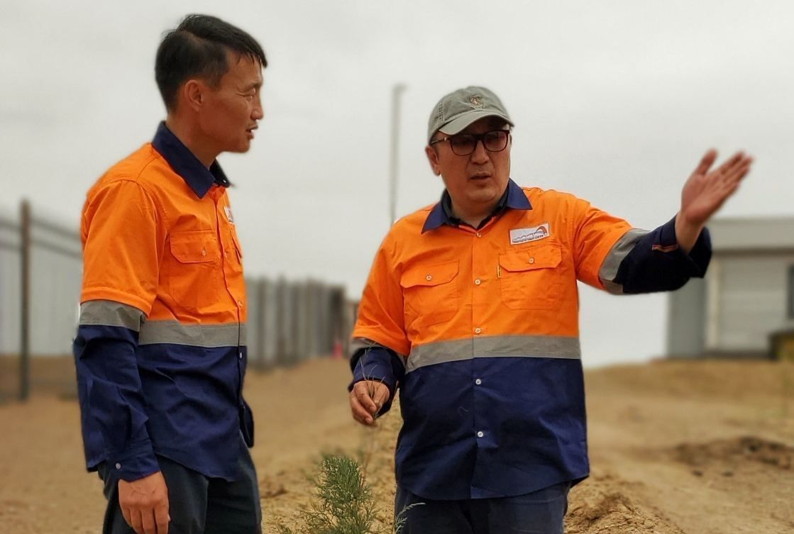 ӨРТӨӨ, ЗӨРЛӨГҮҮДЭД ТАРЬСАН МОДЫГ СААРАЛ УС АШИГЛАН УСАЛЖ БАЙНА